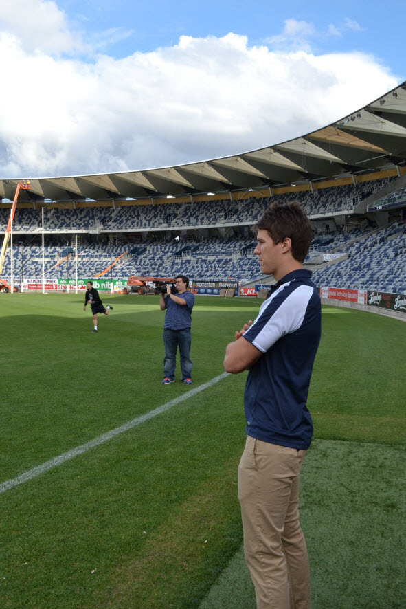 geelong falcons