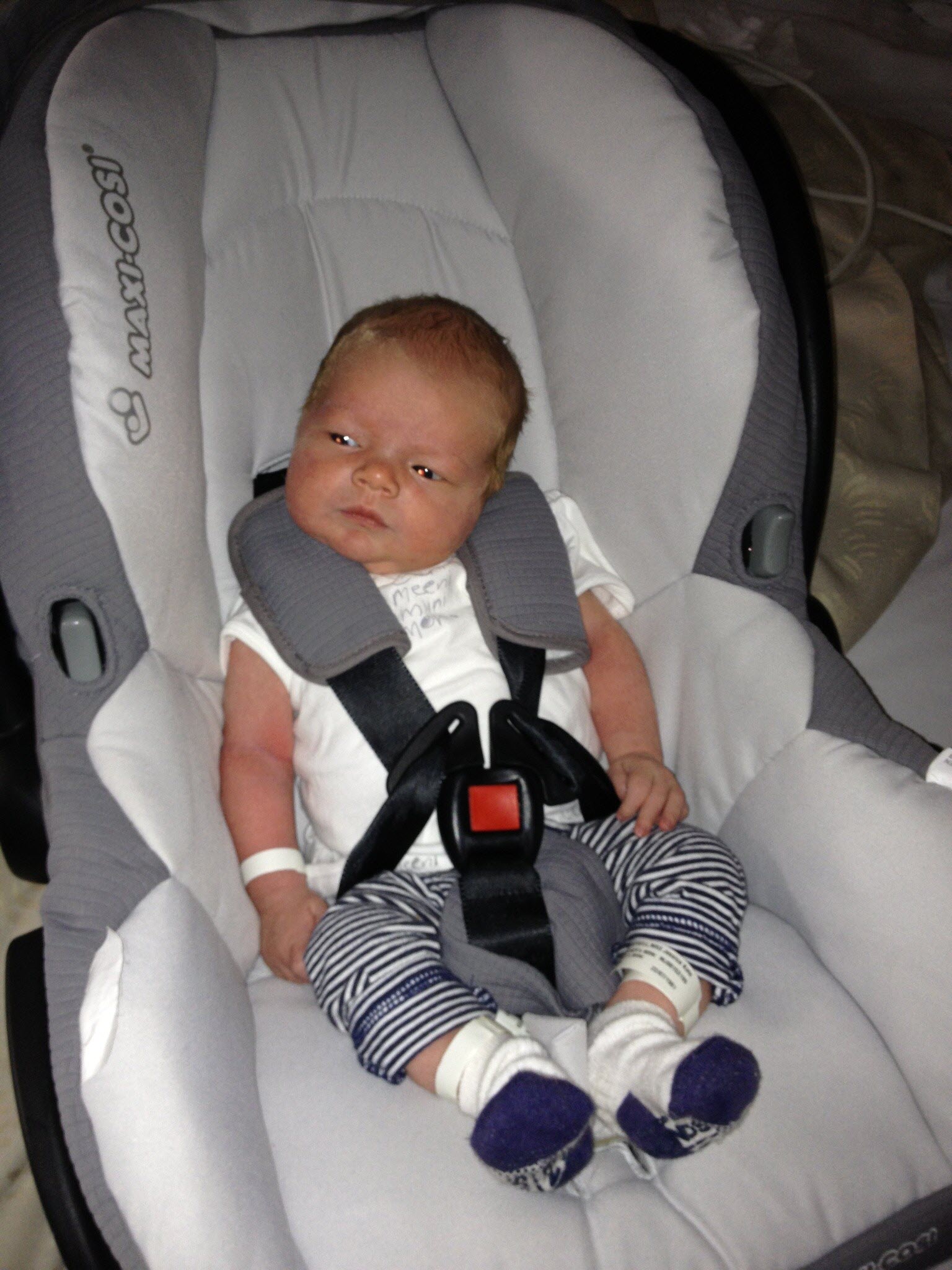 Updated child restraint ratings make it easy for parents to choose safe