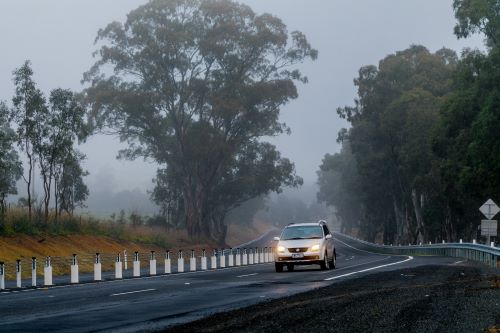 White car driving on a country road with gum trees and fog in the background. Flexible barriers are on the side of the road.
