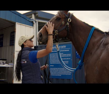 A young woman in a hat and sunglasses pats the muzzle of a brown horse